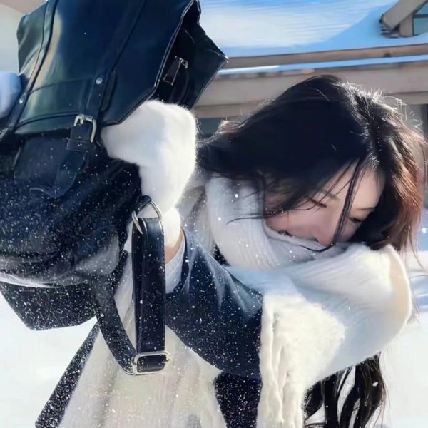豹